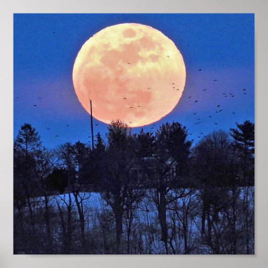 Poster Lune de neige 2017 (Devant)