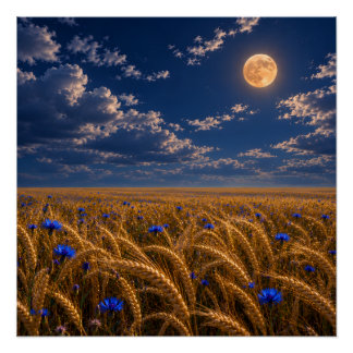 Poster Lune de récolte dorée
