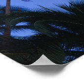 Poster Lune lumineuse, silhouette des cocotiers (Coin)