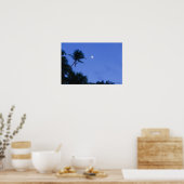 Poster Lune lumineuse, silhouette des cocotiers (Cuisine)