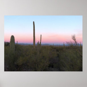 Poster Lune rose sur Saguaro au lever du soleil
