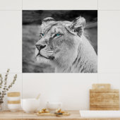 Poster Lune superbe aux yeux bleus (Cuisine)