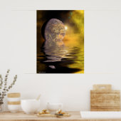 Poster Lune sur l'eau (Cuisine)