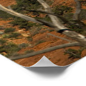 Poster Lune sur Snoopy Rock 3946 (Coin)