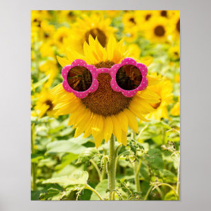 Poster Lunettes de soleil sur tournesol