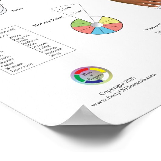Poster Lung Meridian Acupuncture Points (Coin)