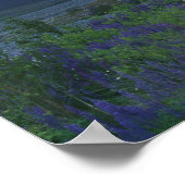 Poster Lupine et le fossé principal, Arthur's Pass, Sud (Coin)