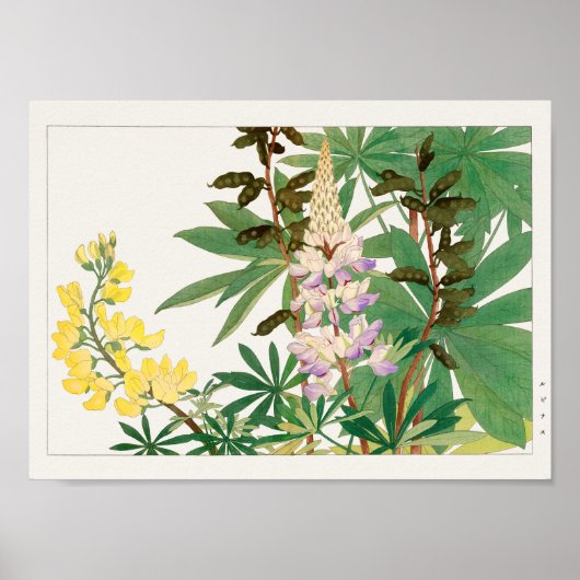 Poster Lupine par Tanigami Konan (Devant)