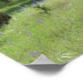 Poster Lupine, Paysage des chênes (Coin)