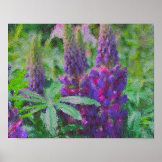 Poster Lupine Trio Impressionniste Peinture Photo Fleur (Devant)