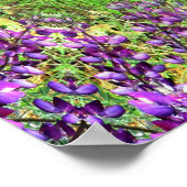 Poster Lupines&Lace... (Coin)