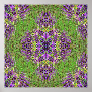 Poster Lupines&Lace...