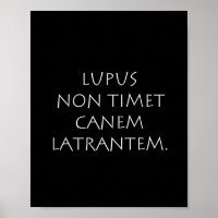 Lupus non tim canem latrantem