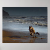 Poster Lurcher sur la plage (Devant)