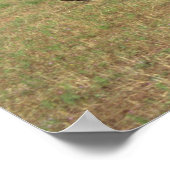 Poster Luscombe, T-8F, 1948_Aviation classique (Coin)