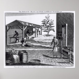 Poster L'usine de tabac dans différentes branches