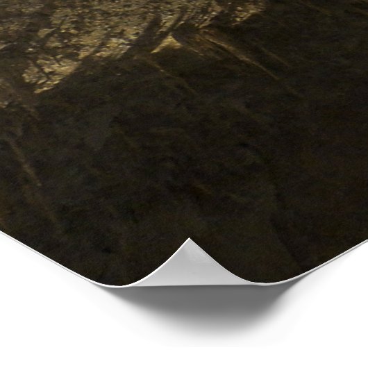 Poster Lustre Carlsbad Cavernes (Coin)