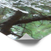 Poster Lustre de Mariage campagnard extérieur dans les pi (Coin)