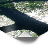 Poster lustré du lever du soleil du matin (Coin)