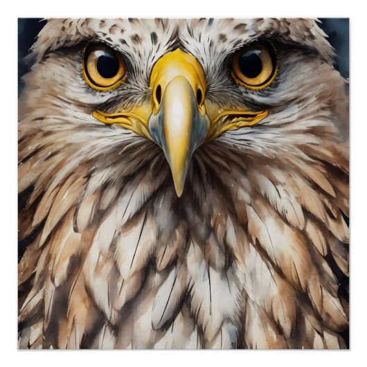 Poster lustré Hawk no 5 (Devant)