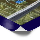 Poster lustré Little Blue Bird (Coin)