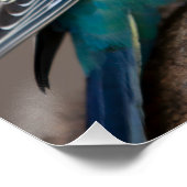 Poster lustré Love Black Color Text Birds Image (Coin)