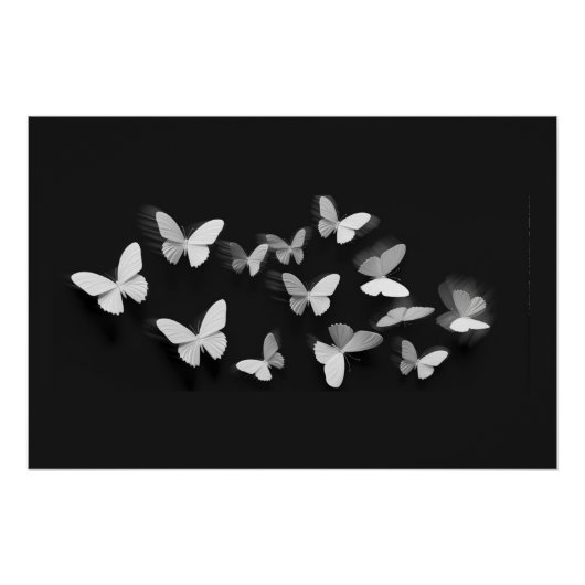 Poster lustré Papillon (Devant)