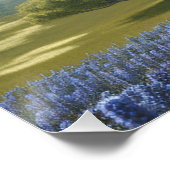 Poster lustré Texas Longhorn Wall Art (Coin)