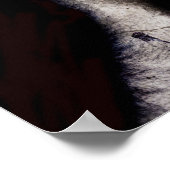 Poster Lutte cérébrale 2013 (Coin)