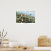 Poster Lutte contre les chiens en Europe (Cuisine)