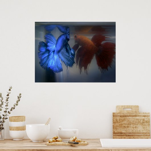 Poster Lutter contre le poisson (Cuisine)