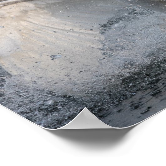 Poster Lutter contre les cygnes (Coin)