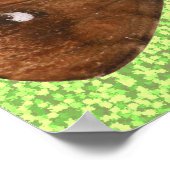 Poster Lutter contre les papillons de nuit (Coin)