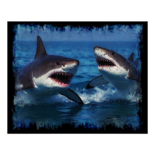 Poster Lutter contre les requins