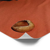 Poster Luxe Sandy (Coin)