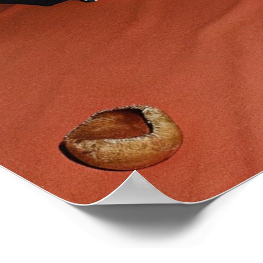 Poster Luxe Sandy (Coin)