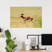 Poster Lycaon Pictus Debout (Bureau à domicile)