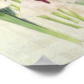 Poster Lycaste vintage de Skinner (Coin)