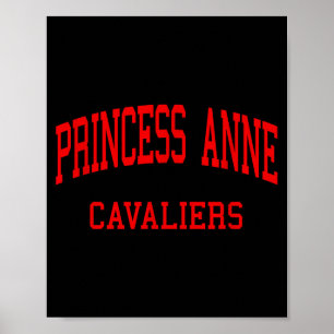 Poster Lycée Princess anne hs virginia beach va