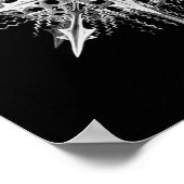 Poster Lychnaspis miranda Ernst Haeckel Fine Art (Coin)