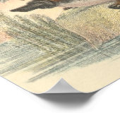 Poster Lydekker - Platypus Portfolio (Coin)