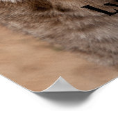 Poster Lynx 5214 (Coin)