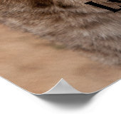 Poster Lynx 5214 (Coin)