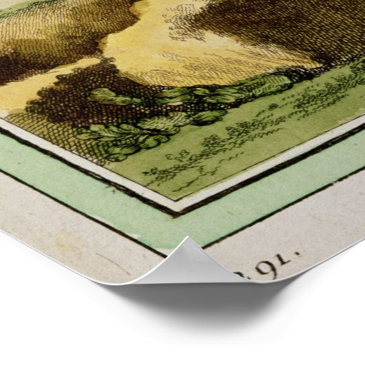 Poster Lynx canadienne (Coin)