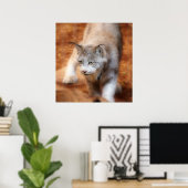 Poster Lynx canadienne (Bureau à domicile)