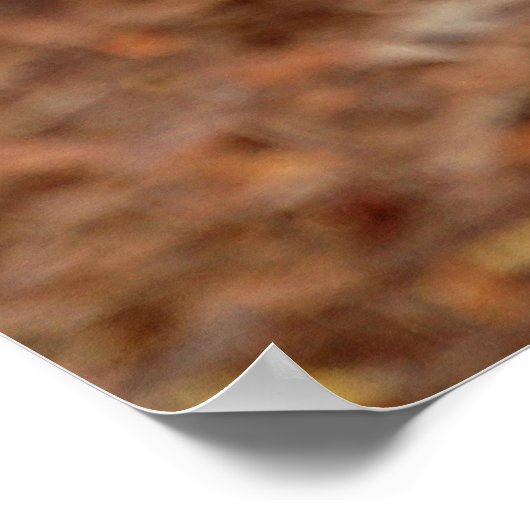 Poster Lynx canadienne (Coin)