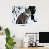 Poster Lynx canadienne dans la neige (Bureau à domicile)