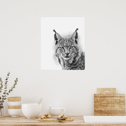 Poster Lynx Cat Sketch Portrait noir blanc (Cuisine)