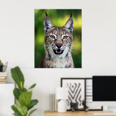 Poster Lynx de Sibérie - Souriant (Bureau à domicile)