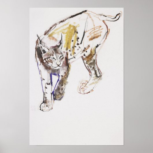 Poster Lynx européenne (Devant)